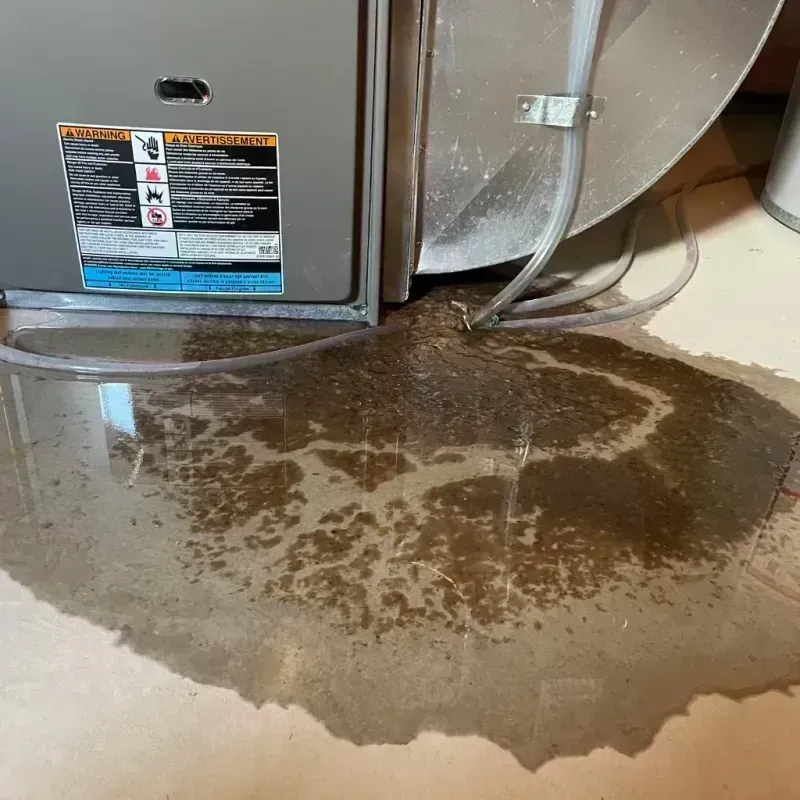 Appliance Leak Cleanup in Fairview, OR